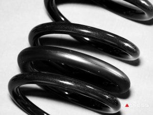 Dodge Hornet Lowering Springs - Eibach - JQ